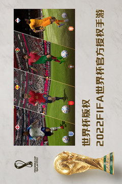 fifa足球世界2022最新版截图1